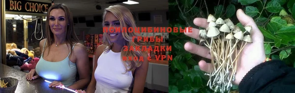 a pvp Аркадак