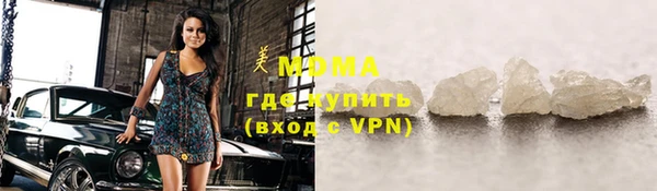 шишки Сосновый Бор